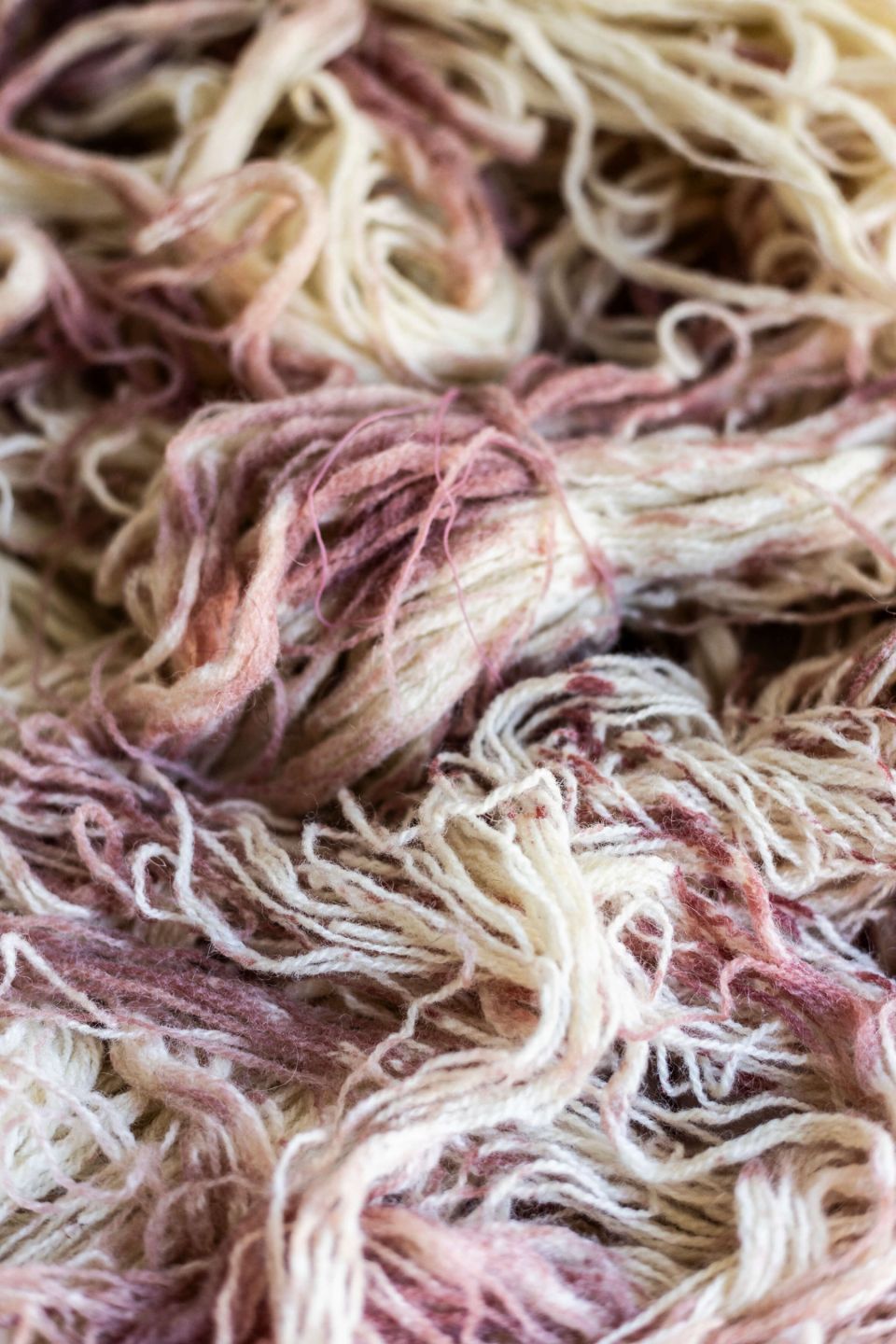 Woolish X Veiniekspress sall