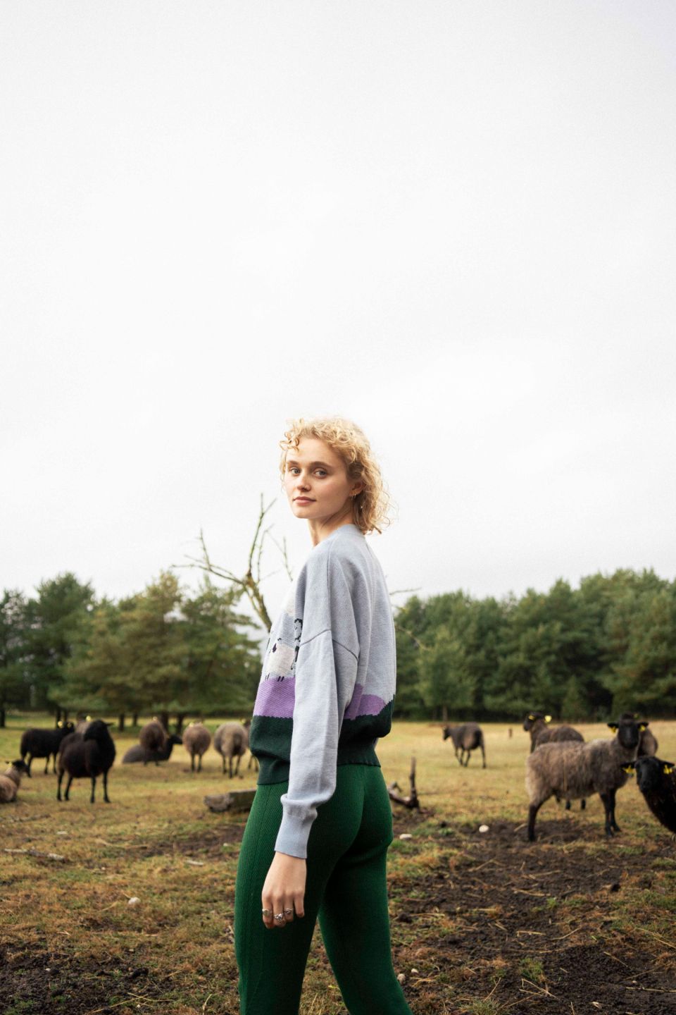 Sheep Stories NO.1 - HAPPY SHEEP kampsun