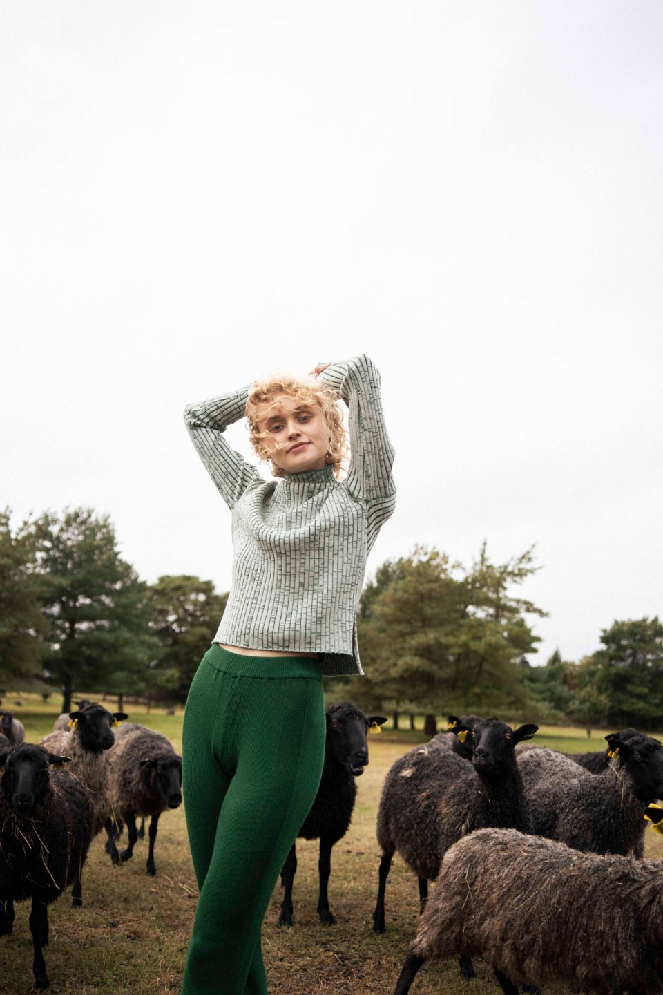 Maiko meriino nabadzemper roheline
