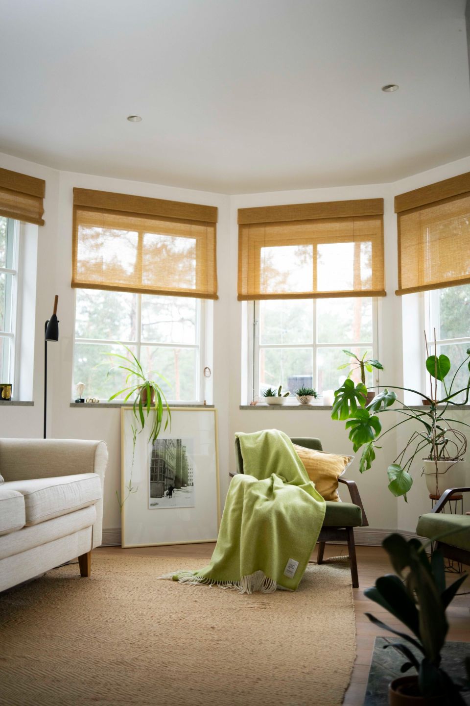 Mira villane pleed kiivi