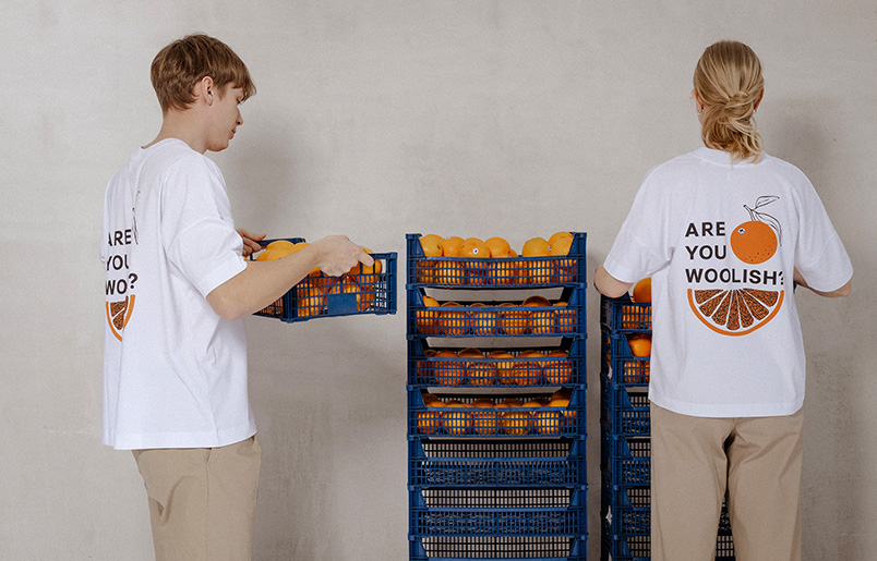 Meist - meriinovillased kudumid